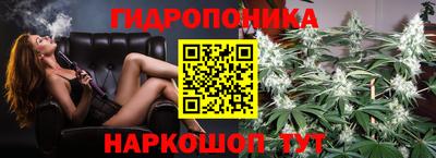 сатива Дубна