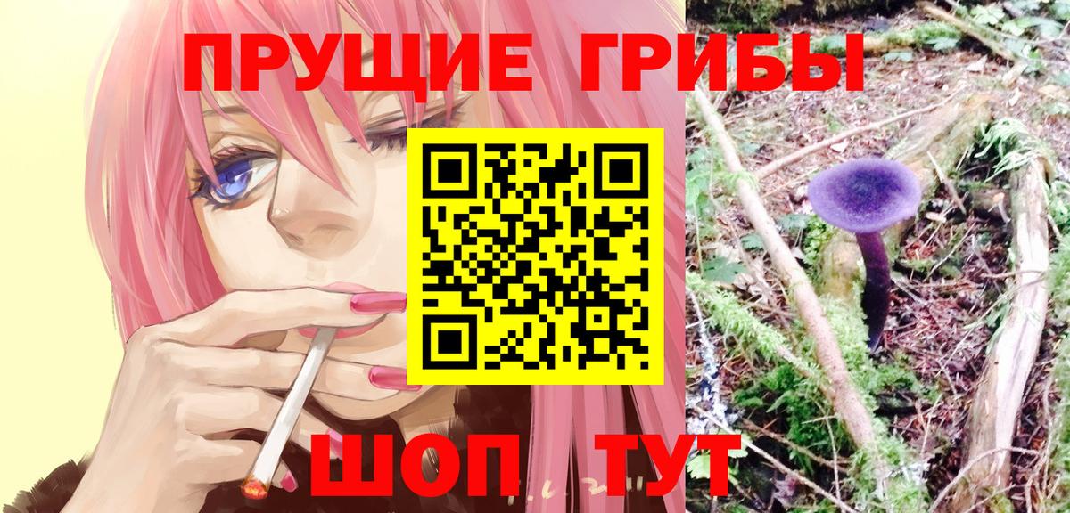 Галлюциногенные грибы GOLDEN TEACHER  Вход с VPN  Нижний Новгород  Псилоцибиновые грибы прущие грибы 