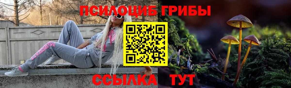 Кодеин  ГАШИШ  Марихуана  Нижний Новгород  ЭКСТАЗИ  А ПВП СОЛЬ кристаллы  Вход с VPN  Мефедрон кристаллы  АМФ кристаллы 